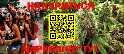 прущие грибы Новокубанск