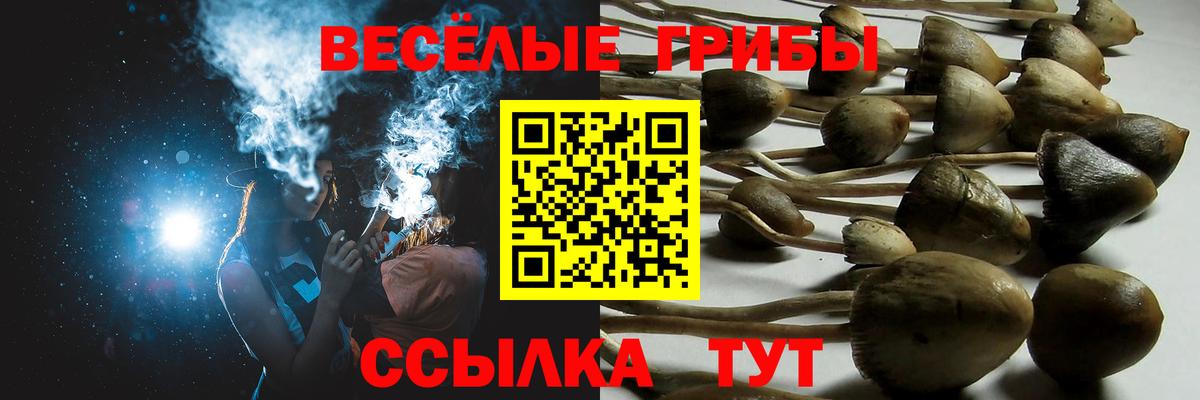 Галлюциногенные грибы прущие грибы  Галлюциногенные грибы Psilocybe  Вход с VPN  Тавда 